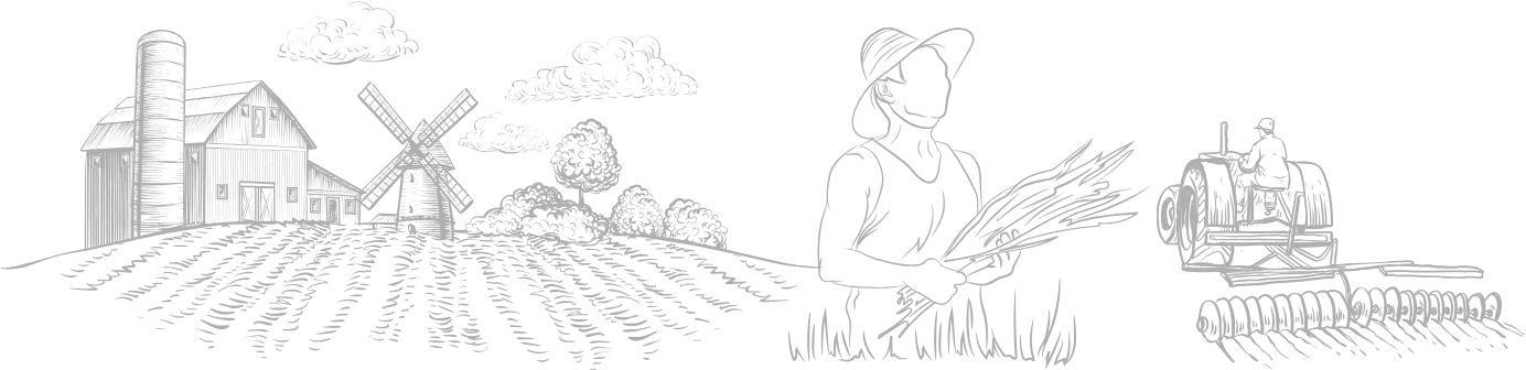 Agricultural background pattern