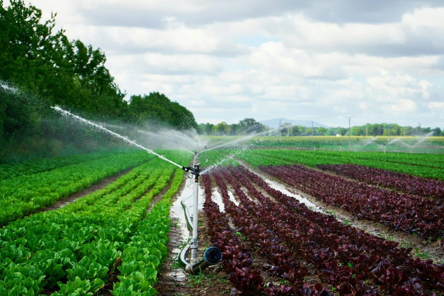 Agricultural irrigation system